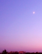 Que faire pendant le Covid ?