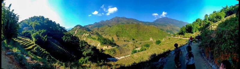 Rizières dans les montagnes