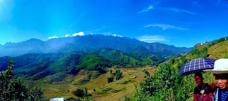 Rizières dans les montagnes