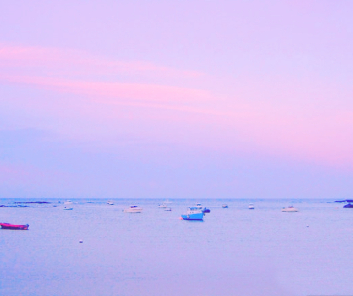 What to do during the Covid pandemic?