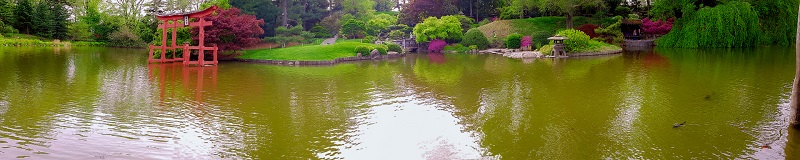 Panorama of the Japanese garden at the Brooklyn Botanic Garden