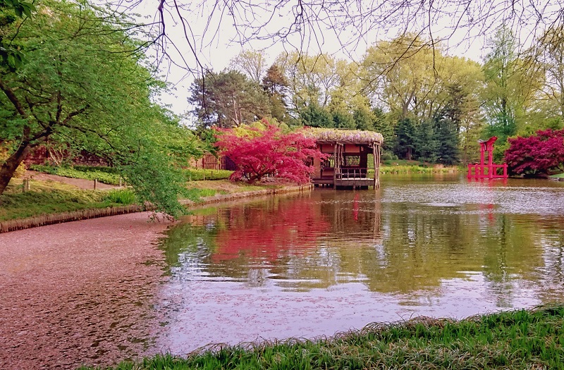 Japanese garden at the Brooklyn Botanic Garden