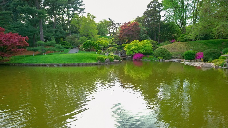 Japanese garden at the Brooklyn Botanic Garden