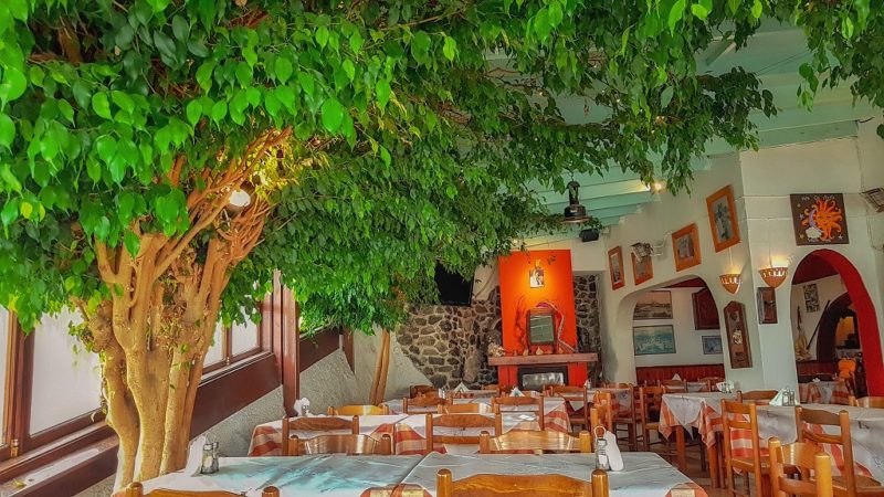 Restaurant Taverna Simos avec un arbre