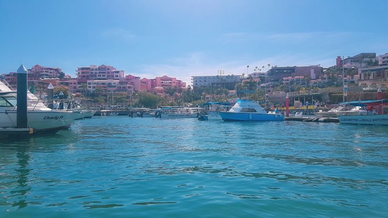 Harbor in Cabo San Lucas