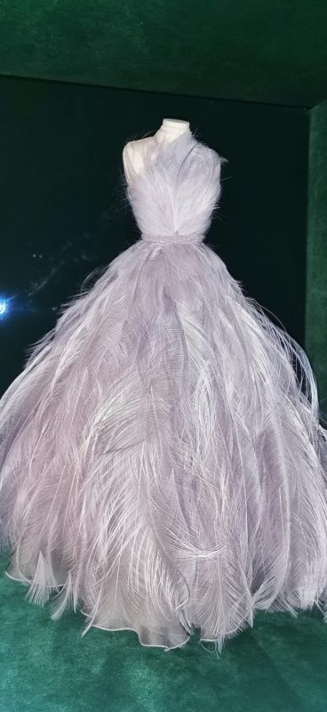 Feather dress