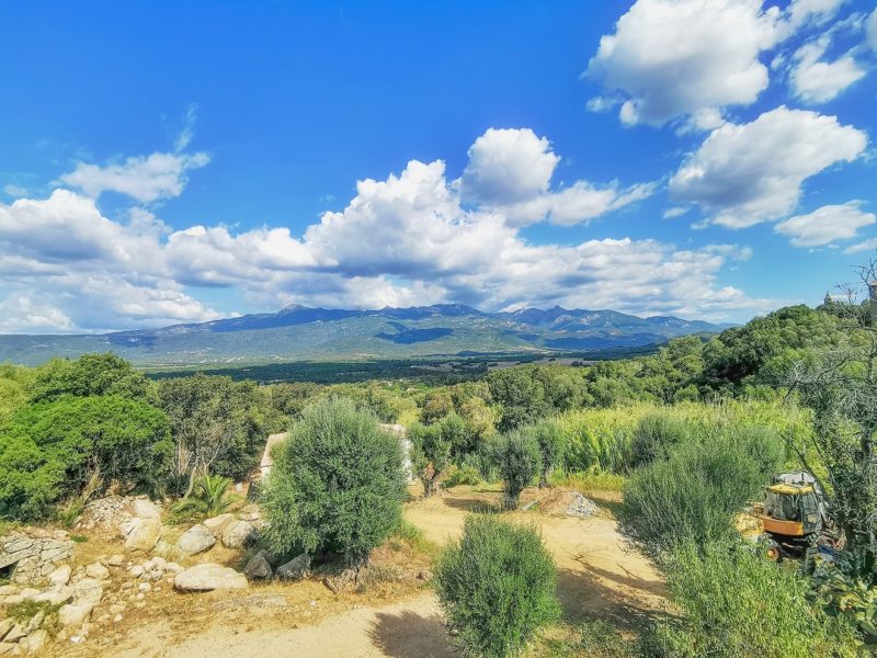 Landscape in Figari